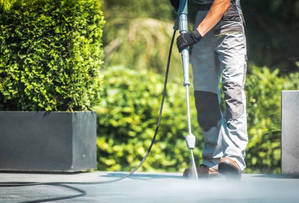 Best Sidewalk and Walkway Pressure Cleaning in Camden, OH